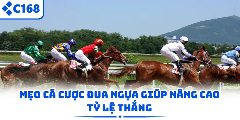 Mẹo cá cược đua ngựa giúp nâng cao tỷ lệ thắng